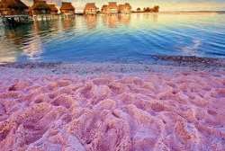 It is said that Eleuthera was founded in 1648 by a British group. The name is taken from the Greek word for It is said that Eleuthera was founded in 1648 by a British group. The name is taken from the Greek word for